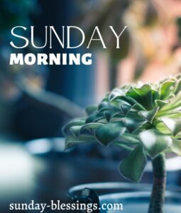 50+ Good Morning Sunday Images To Brighten Your Day 3 Good Morning Sunday Image