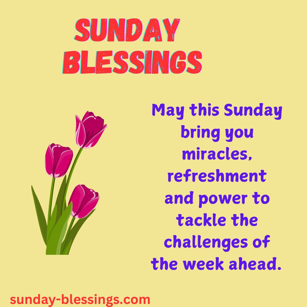 Thankful Sunday Blessings  