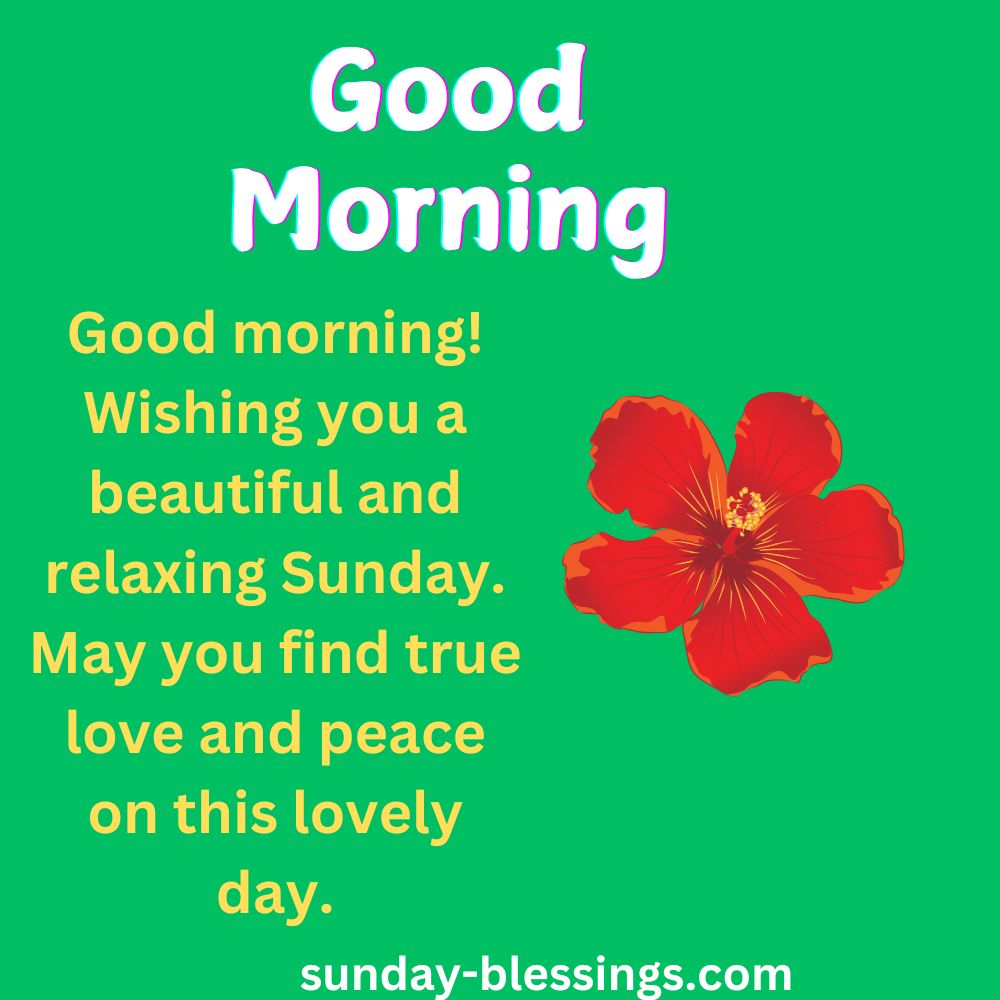 100+ Sunday Morning Blessings for a Peaceful and Joyful Week 3 sunday morning blessings image
