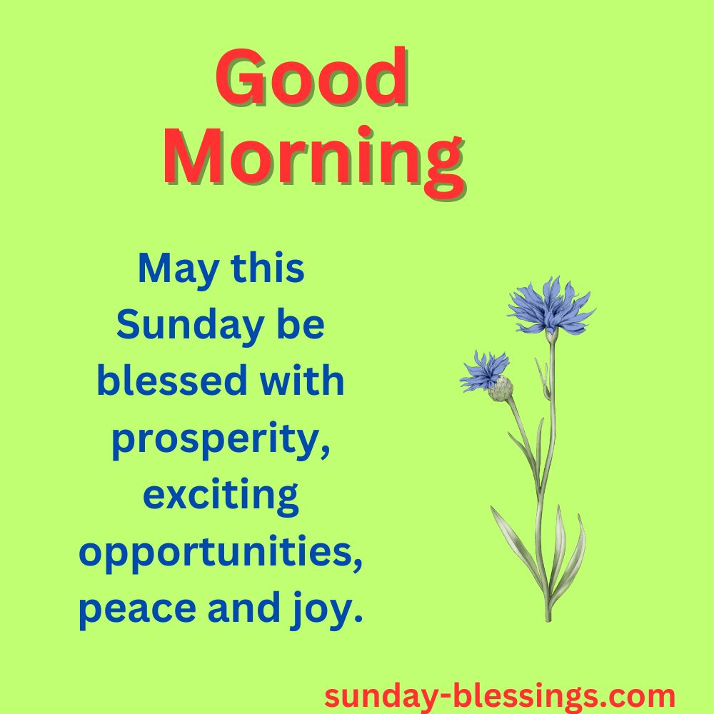 100+ Sunday Morning Blessings for a Peaceful and Joyful Week 11 Blessed Sunday Morning image